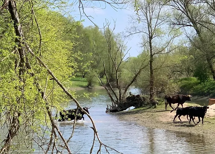 Slapenopdewaal Bed & Breakfast 4*