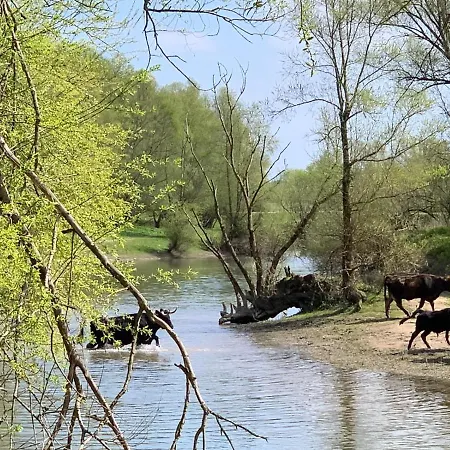 Slapenopdewaal B&B 4*