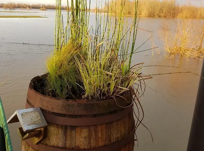 Oda ve Kahvaltı Slapenopdewaal 4*